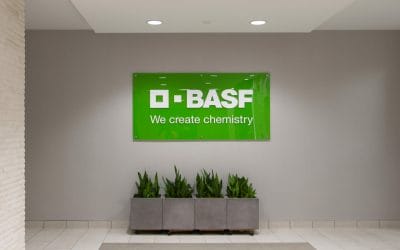 Custom Landscape Art for the BASF Calgary Office