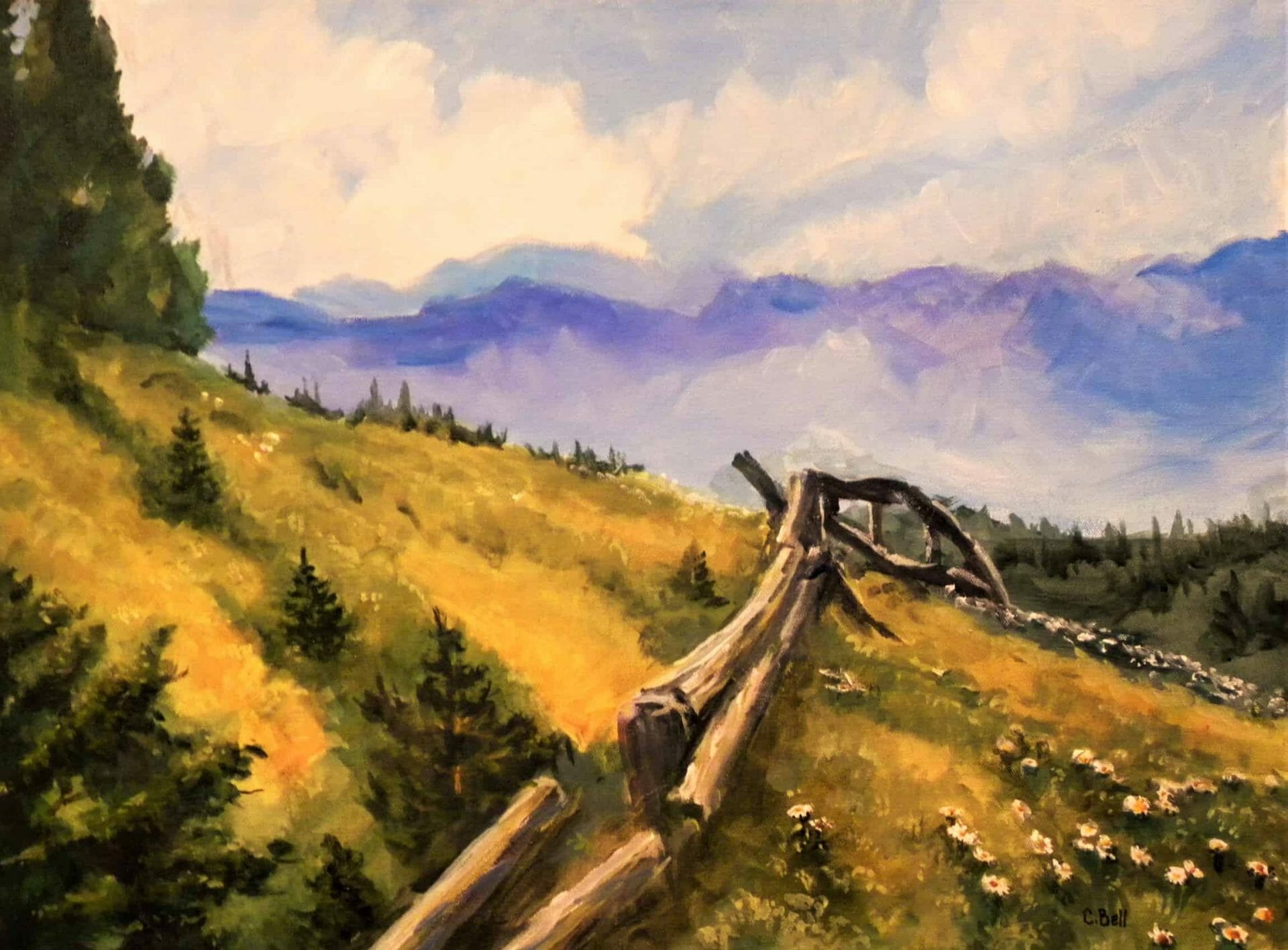 Broken Fence, Invermere [1091] - Canadian Original Artwork For Sale by Colin Bell - Calgary, AB Local Artist - Mountains