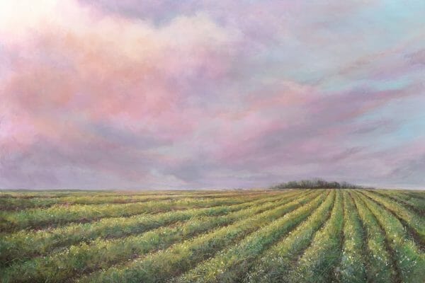 Lentil Field - Canadian Original Artwork For Sale by Cindy Bouwers - Airdrie, AB Local Artist - Nature