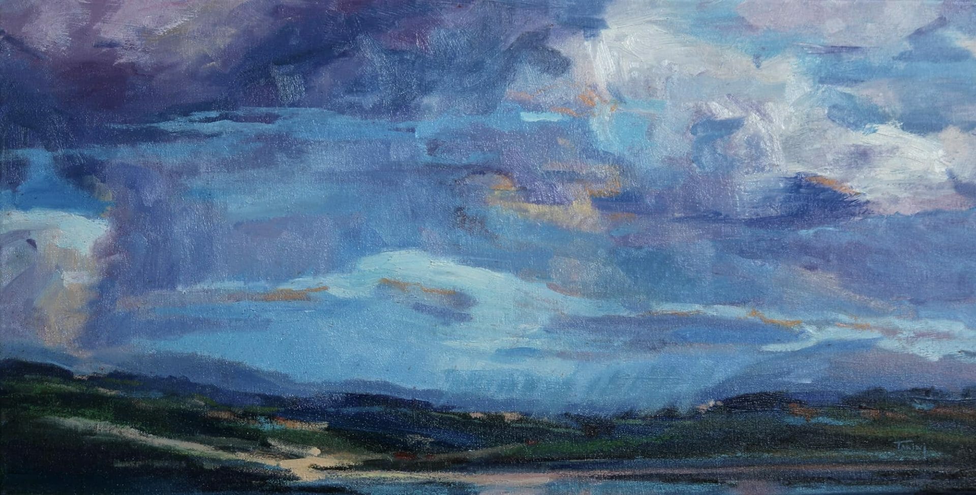 Turbulent Sky - Canadian Original Artwork For Sale by Mary Ann Tarini Hews - Calgary, AB Local Artist - Nature