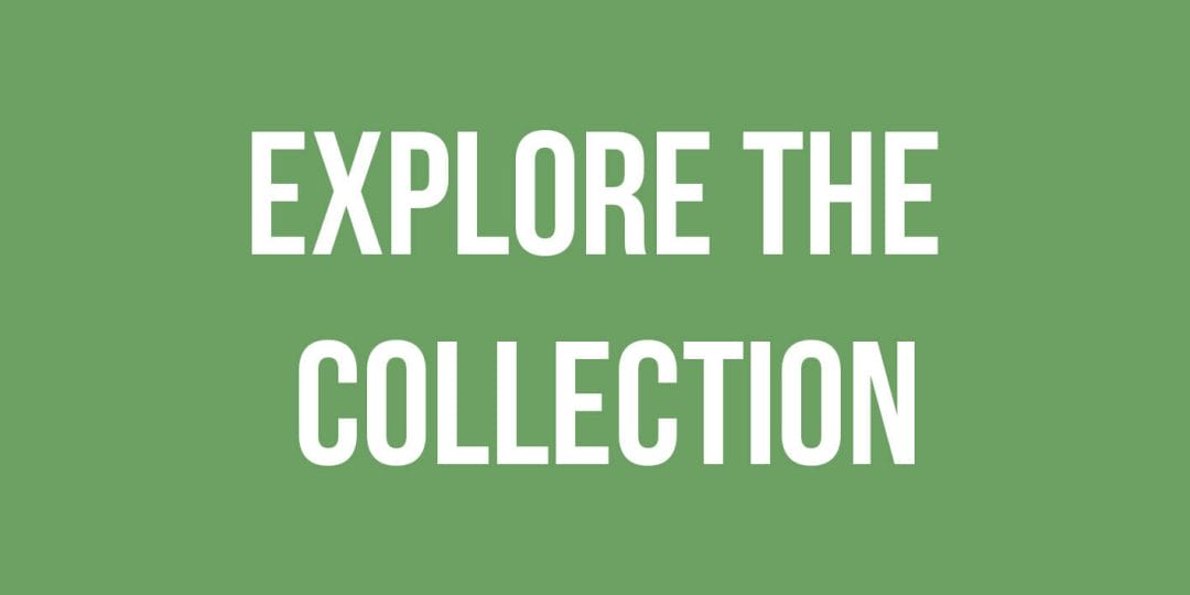 explore the collection call to action